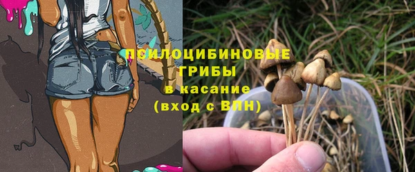 круглые Вяземский