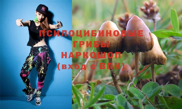 круглые Вяземский