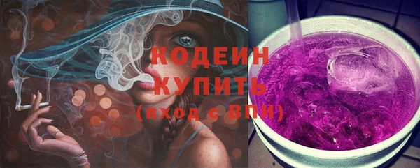 дживик Вязьма