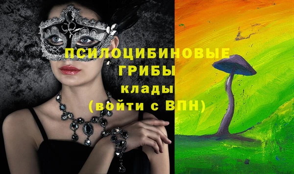 бошки Сосновка