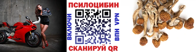 где купить   Верхотурье  гидра как войти  Галлюциногенные грибы мицелий 